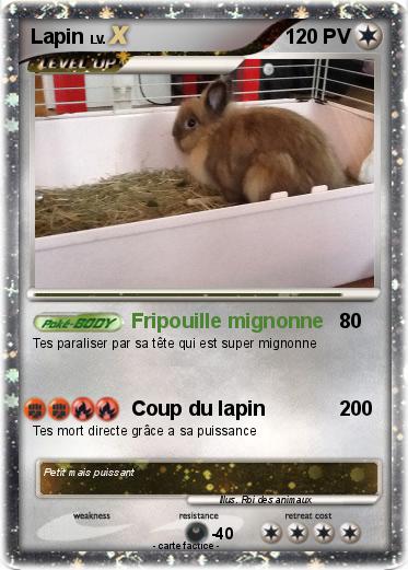 Pokemon Lapin