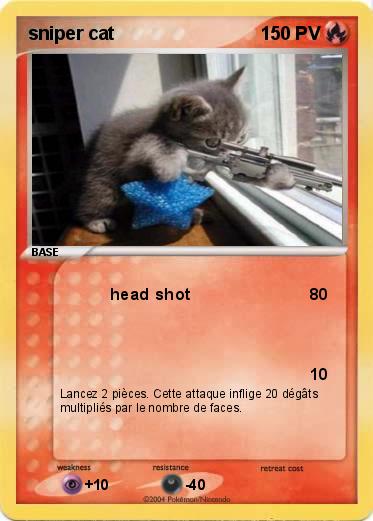 Pokemon sniper cat
