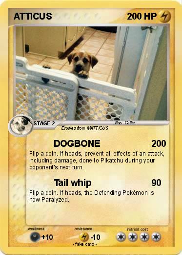 Pokemon ATTICUS