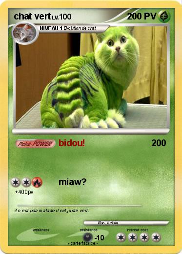 Pokemon chat vert