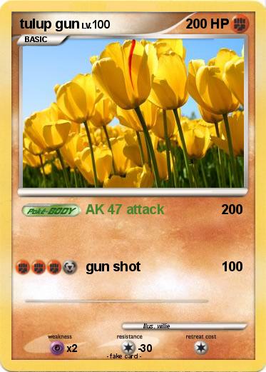 Pokemon tulup gun