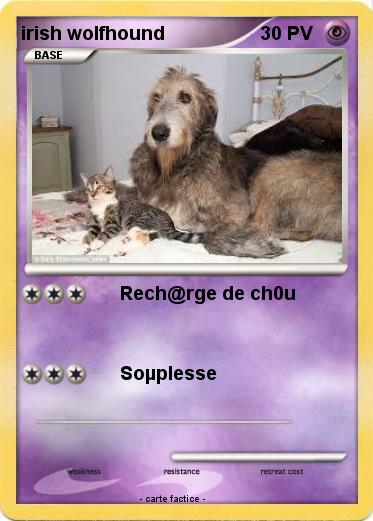 Pokemon irish wolfhound