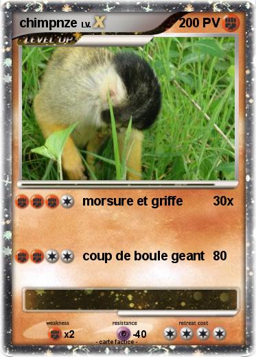 Pokemon chimpnze
