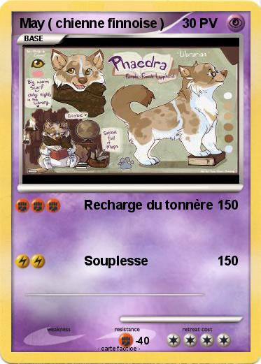 Pokemon May ( chienne finnoise )