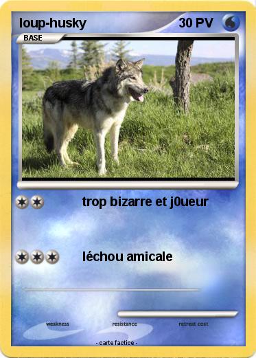 Pokemon loup-husky