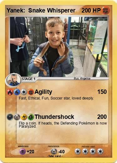 Pokemon Yanek:  Snake Whisperer