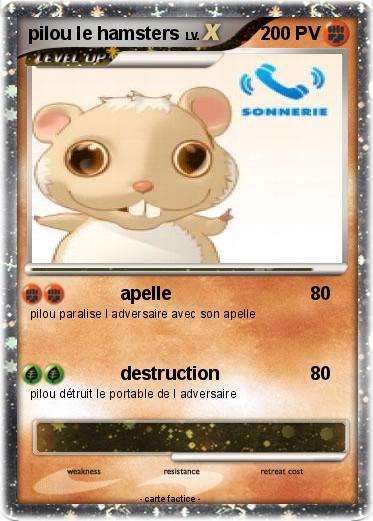 Pokemon pilou le hamsters