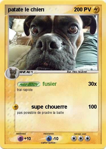 Pokemon patate le chien