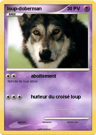 Pokemon loup-doberman