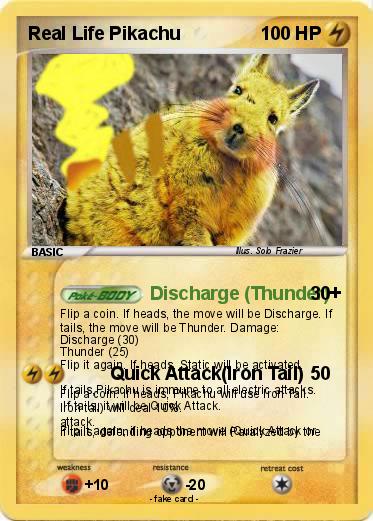 Pokemon Real Life Pikachu