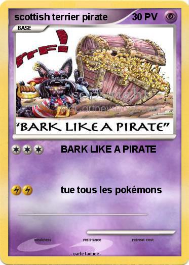 Pokemon scottish terrier pirate