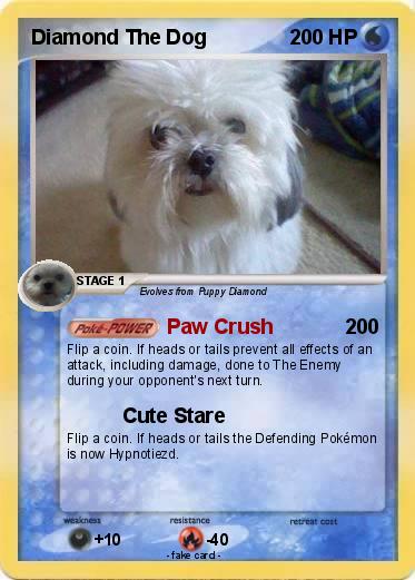 Pokemon Diamond The Dog