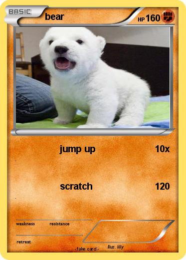 Pokemon bear