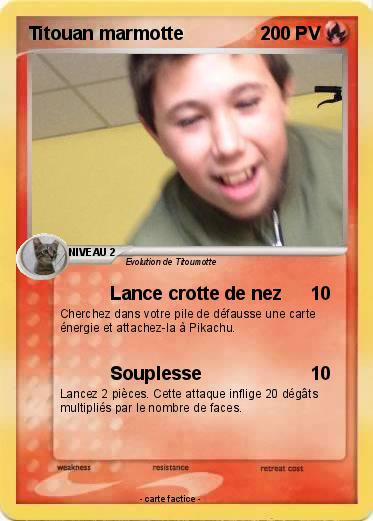 Pokemon Titouan marmotte