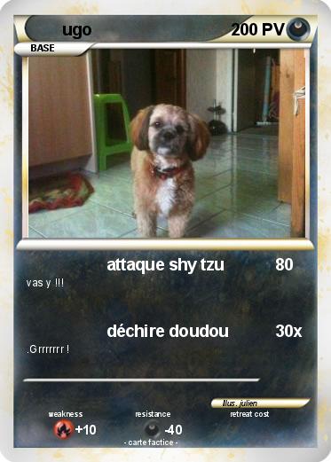 Pokemon ugo