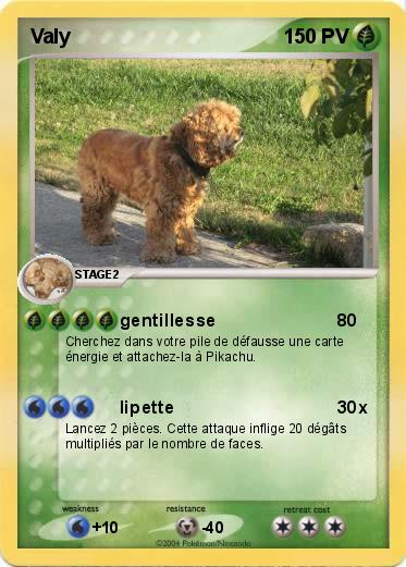Pokemon Valy