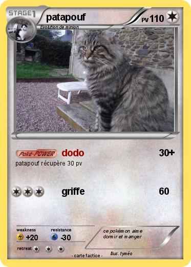 Pokemon patapouf