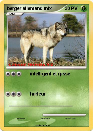 Pokemon berger allemand mix
