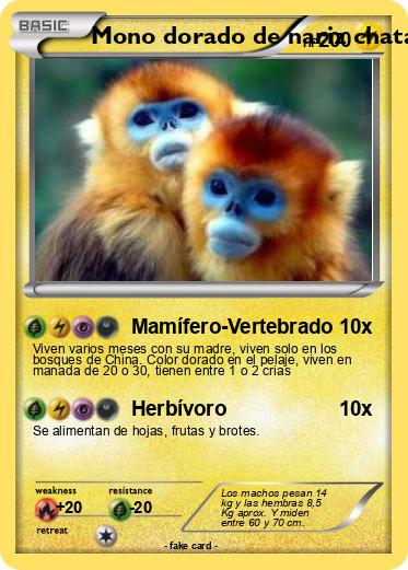 Pokemon Mono dorado de nariz chata