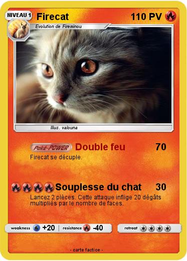 Pokemon Firecat