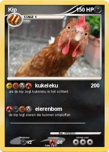 Pokemon Kip