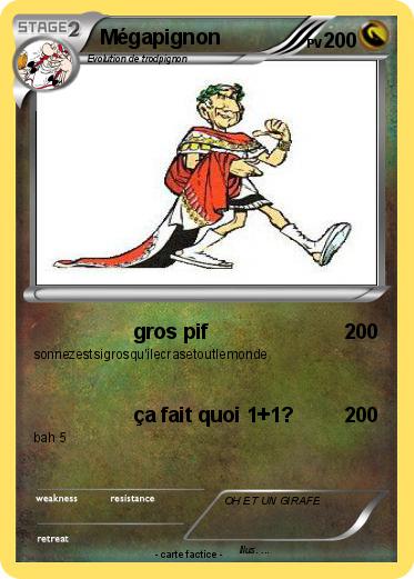 Pokemon Mégapignon