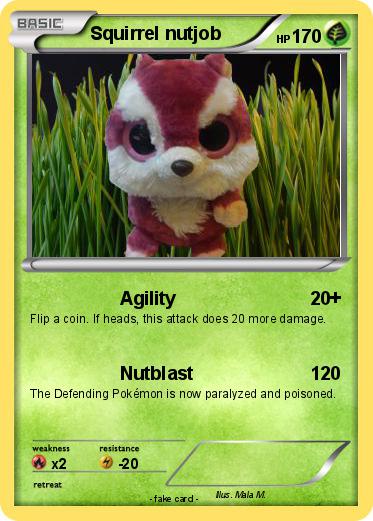 Pokemon Squirrel nutjob