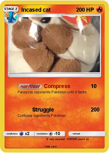Pokemon Incased cat