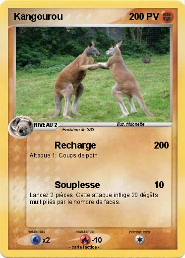 Pokemon Kangourou