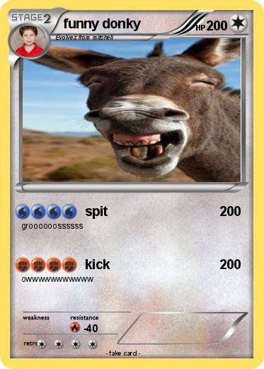 Pokemon funny donky