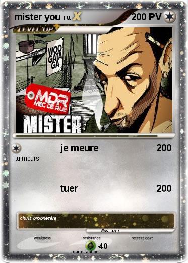 Pokemon mister you