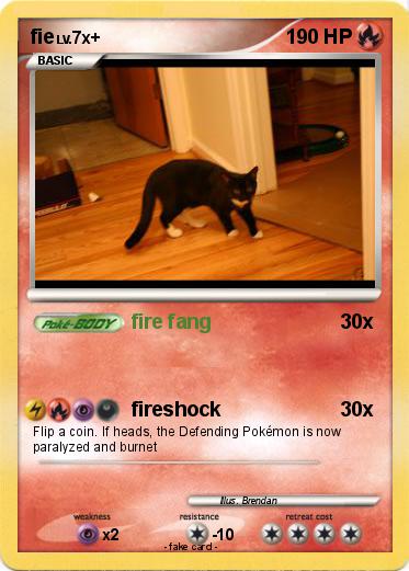 Pokemon fie