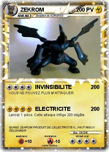 Pokemon ZEKROM