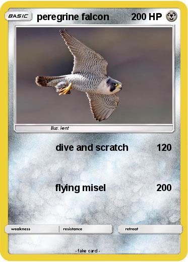 Pokemon peregrine falcon