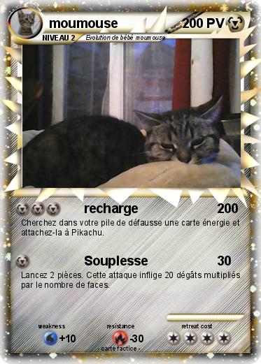 Pokemon moumouse