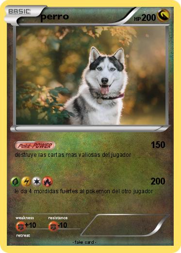 Pokemon perro
