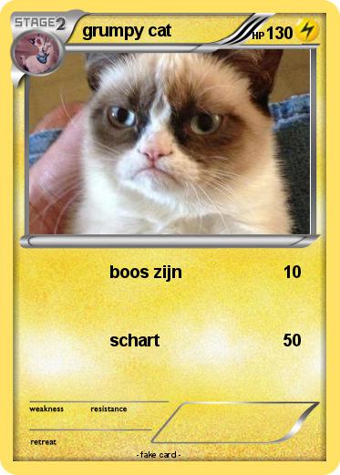 Pokemon grumpy cat
