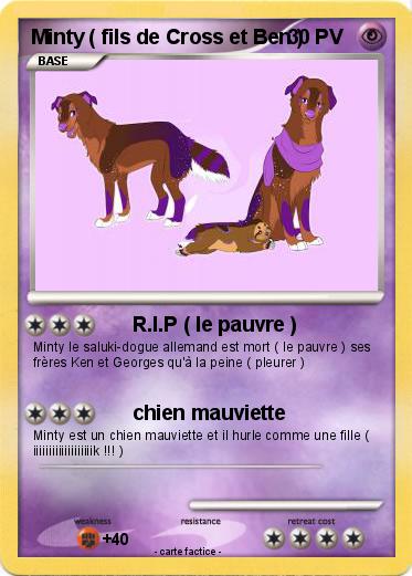 Pokemon Minty ( fils de Cross et Ben )