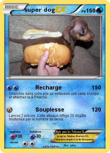 Pokemon super dog