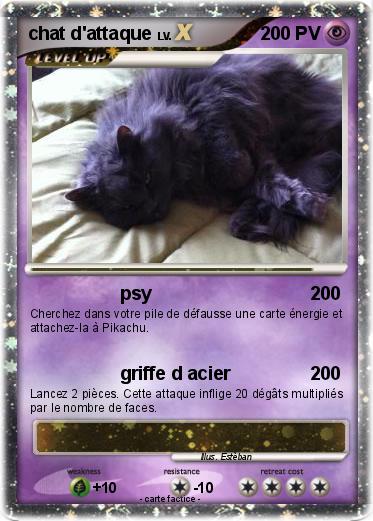 Pokemon chat d'attaque