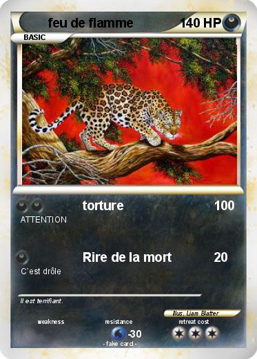 Pokemon feu de flamme