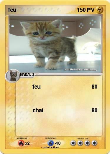 Pokemon feu