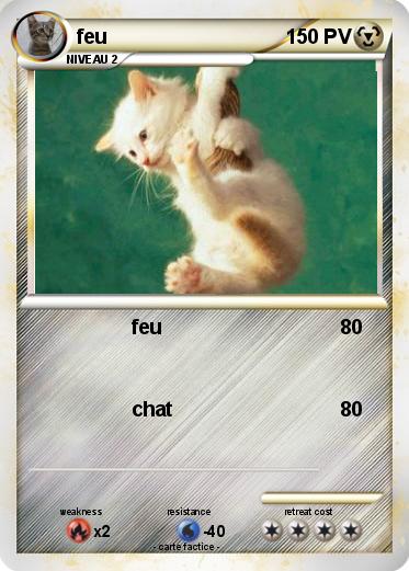 Pokemon feu