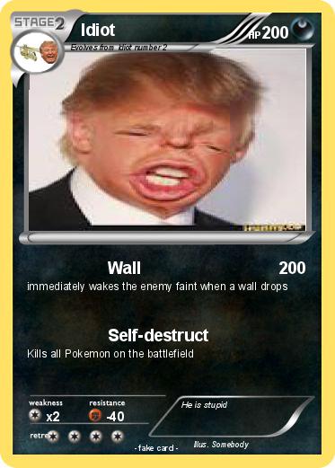 Pokemon Idiot