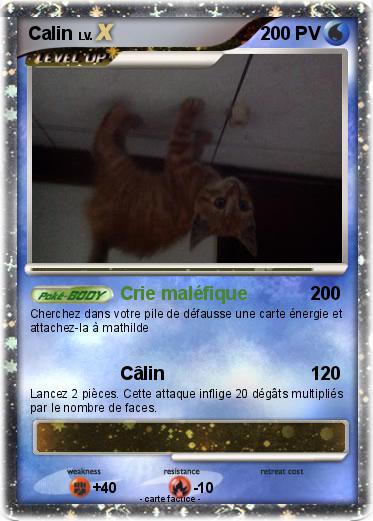 Pokemon Calin