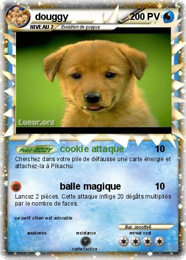Pokemon douggy