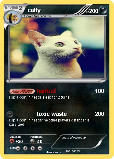 Pokemon catty