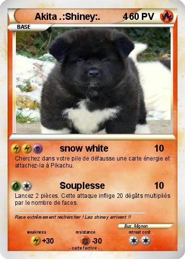 Pokemon Akita .:Shiney:.         4