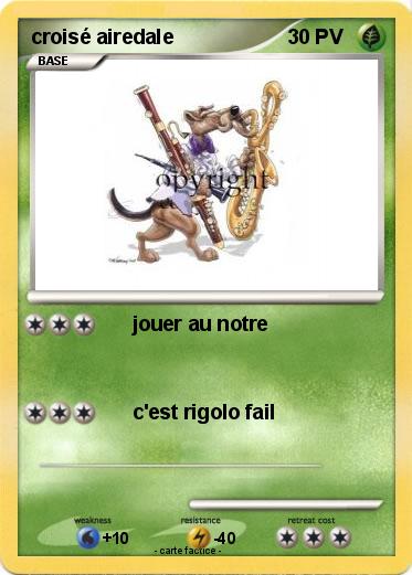 Pokemon croisé airedale