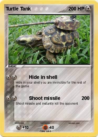 Pokemon Turtle Tank